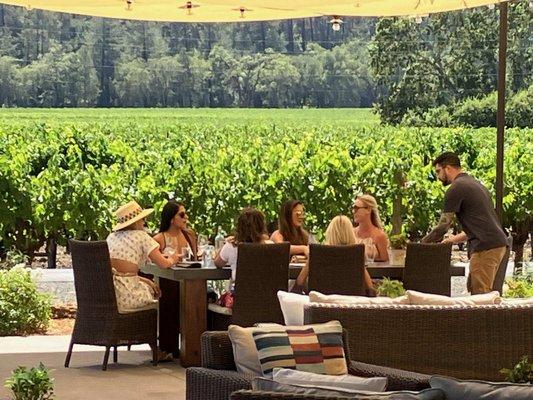 Napa Sonoma Wine Tours