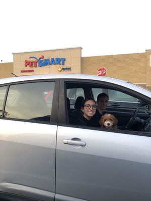 Kirby is going to school at Petsmart!