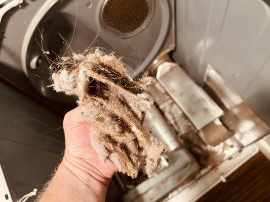 Burnt lint inside of your dryer