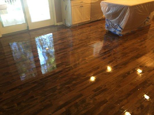 Maple floor stained with Special Walnut  color.