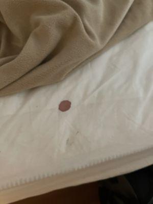 Blood stains on my sheets, doesn't even look washed