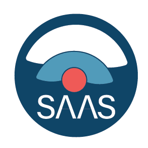 Kemo Saas Logo