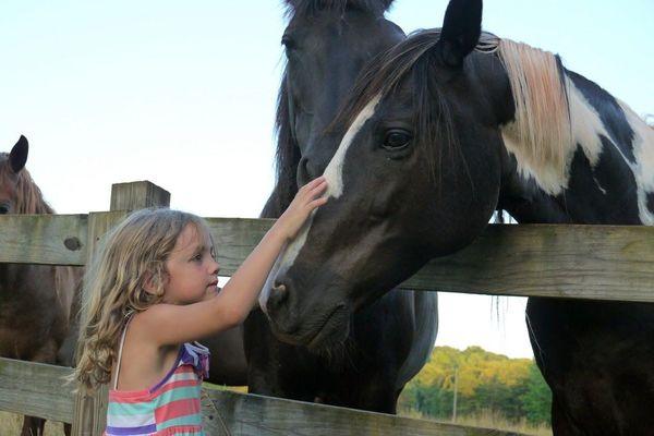 Horses & Kids