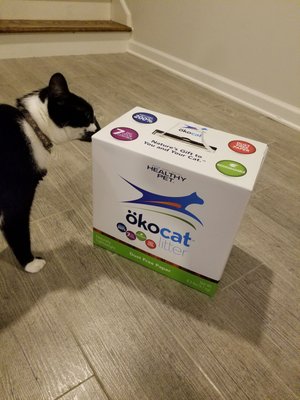 Had a manufacture coupon for a free box of okocat litter.... He's never seen litter before (uses toilet)