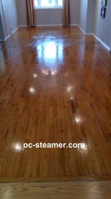 Neglected Hardwood After