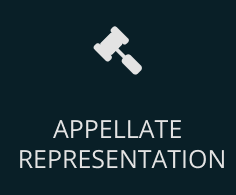 Appellate Representation