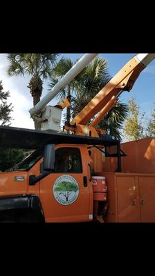 Beavertreeservice.info