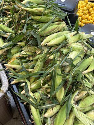 Sweet Corn season!!