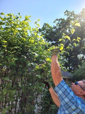 Fine Pruning