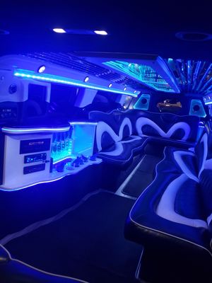 14 passenger wedding Limousine