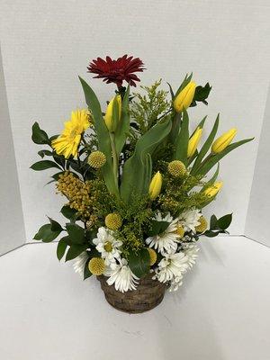 Spring Garden
Tulips, gerberas and crasoedias + fillers 

$50.38