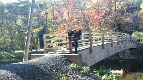 STS Trail in Ole Bull State Park.