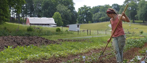 Working in the garden