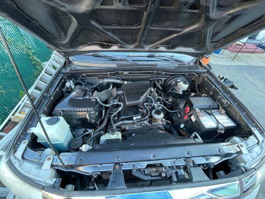 Engine bay fully cleaned