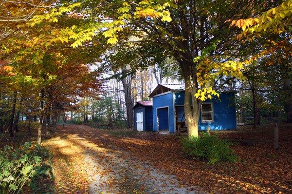 BlackTree Studio kilns in the Fall.