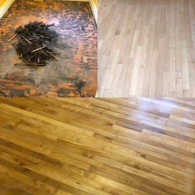 This is the maple floor we resurrected  don't cover up those old wood floors get them refinished call GT Wood flooring for a free quote