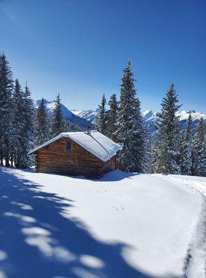 Aspen backside