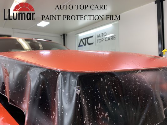 Auto Top Care | Paint Protection Film Experts
Give us a CALL for a free quote
203.504.8175