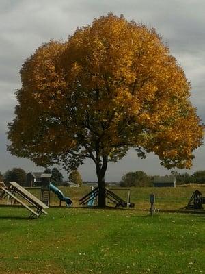 Emerald Acres Campground