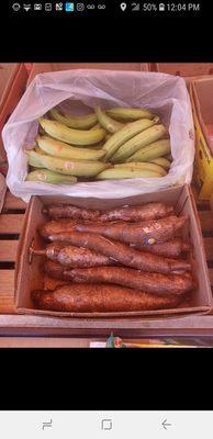 Tropical tubular root vegetables and plantains and yuca.