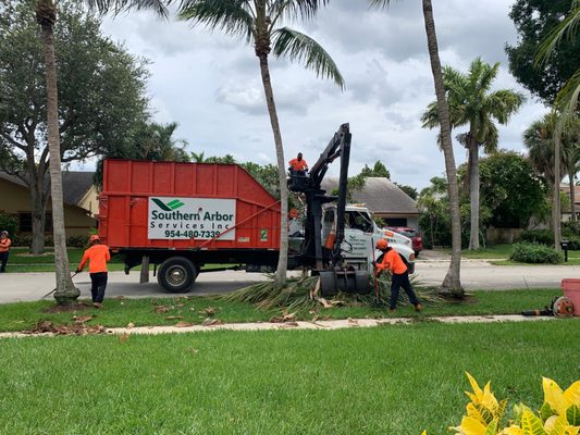 Cut and cleanup of debris.