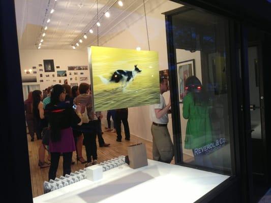 The newest gallery in new Rochelle