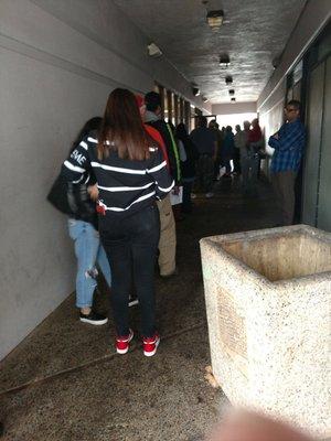 The outside line to get into the DMV