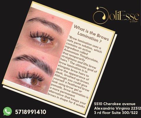 Lash lifting and brows lamination  And tinting