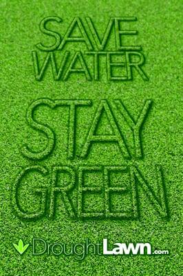 Save Water Stay Green with Drought Landscaping.