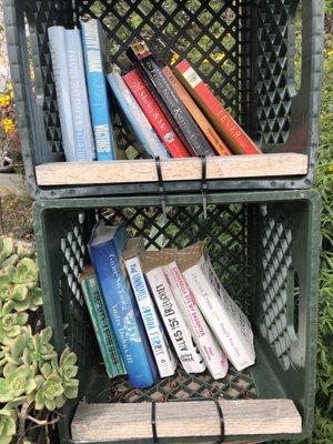 Little Free Library