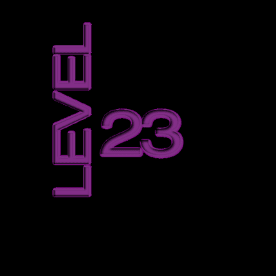 Level 23 Consulting