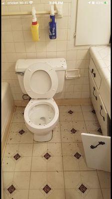 Clean toilet and floor