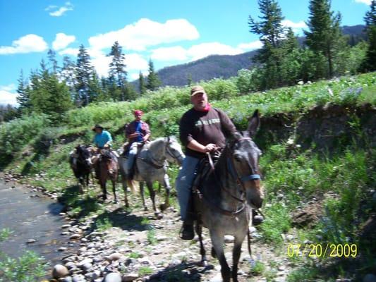 I didn't have good enough horsemanship to let go of the horse so I pointed my camera backwards and hoped for the best!