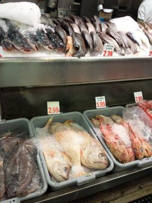 Plenty Of Fresh Fish