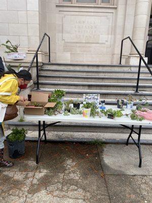 Plant swap! Free plants!