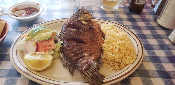 Pescado frito. Fried tilapia.