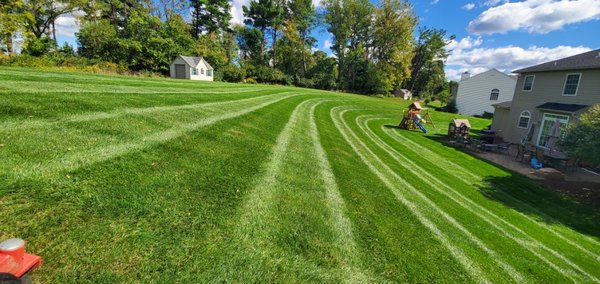 Lawn mowing