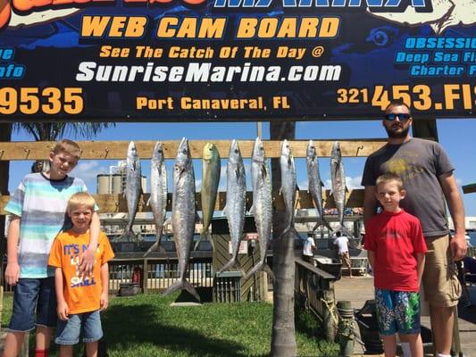 Mahi-Mahi and King Mackerel