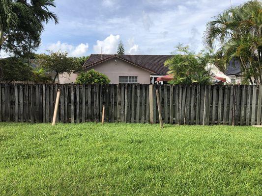 Back wooden fence is damaged.