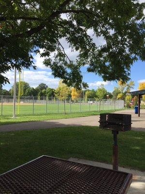 View from a picnic table