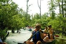 Canoeing on the Cache River in Southern Illinois