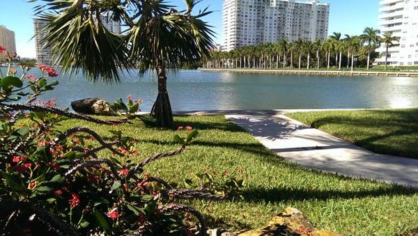 Beautiful plant appropriately named "Crown of Thorns" and gorgeous view of the cove.