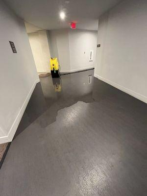 Flooding of the west side courtyard by the elevators that resulted in unpicked up dog poop to go into the hallways. Spring 2024