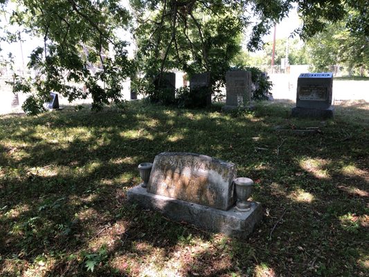 Graves beneath a pecan tree