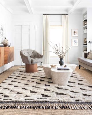 Loloi Odyssey rug comes in sample sizes- stocked in store!