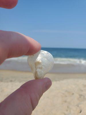 Public Beach Access