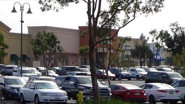 Many larger stores that you will find at the trolley shopping center . Bed bath and beyond one of the nicest stores .