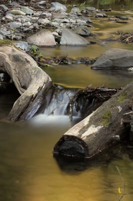 the creek adjacent to the meadow