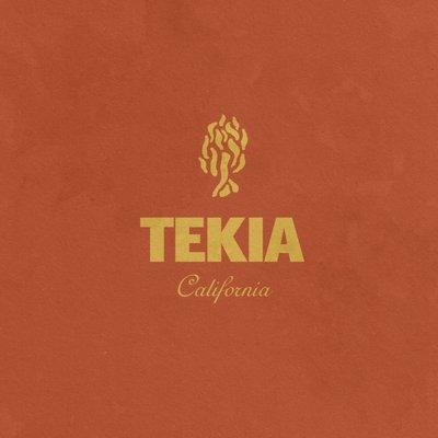 Tekia Logo Design Palm Springs