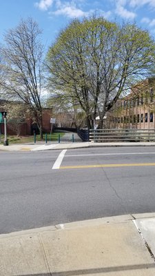 Parts are on sidewalk, parts are clearly a path (across the street).